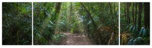 Obraz - Sluneční paprsky v džungli (170x50 cm)