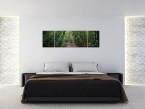 Obraz - Sluneční paprsky v džungli (170x50 cm)