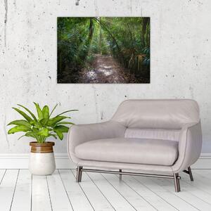 Obraz - Sluneční paprsky v džungli (70x50 cm)