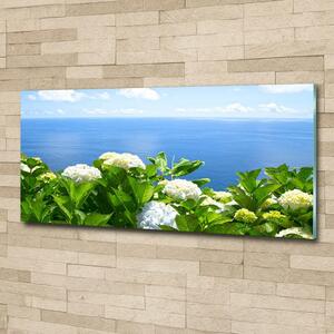 Foto obraz sklo tvrzené Květiny nad mořem osh-87726143