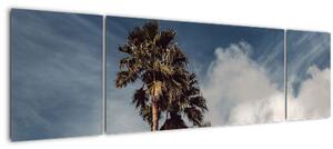 Obraz - Palmové drama (170x50 cm)