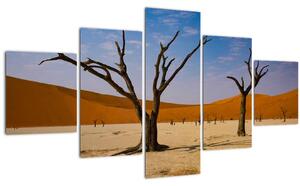 Obraz - Údolí smrti (125x70 cm)