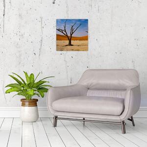 Obraz - Údolí smrti (30x30 cm)