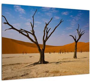 Skleněný obraz - Údolí smrti (70x50 cm)