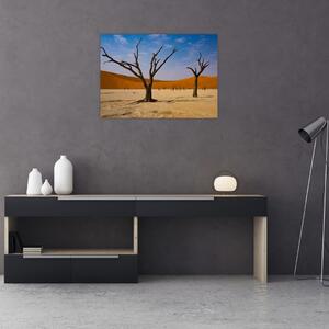 Obraz - Údolí smrti (70x50 cm)
