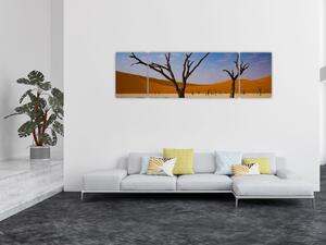 Obraz - Údolí smrti (170x50 cm)