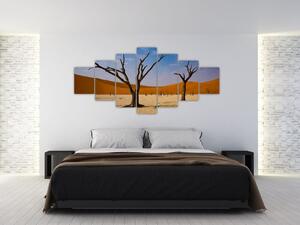 Obraz - Údolí smrti (210x100 cm)