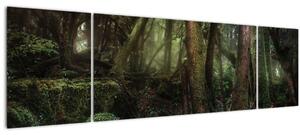 Obraz - Tajemný les (170x50 cm)