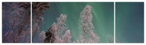 Obraz polární záře nad zmrzlými stromy (170x50 cm)