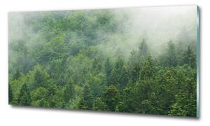 Fotoobraz na skle Tajemný les osh-88640523