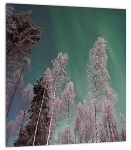 Obraz polární záře nad zmrzlými stromy (30x30 cm)