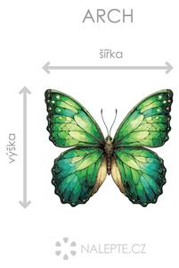 Zelený motýl arch 75 x 68 cm