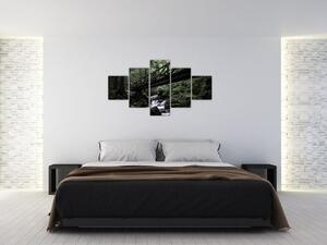 Obraz z černého lesa (125x70 cm)