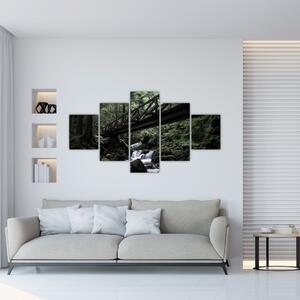 Obraz z černého lesa (125x70 cm)