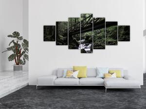 Obraz z černého lesa (210x100 cm)