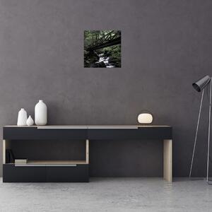 Obraz z černého lesa (30x30 cm)