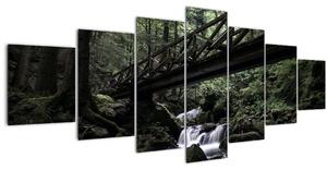 Obraz z černého lesa (210x100 cm)