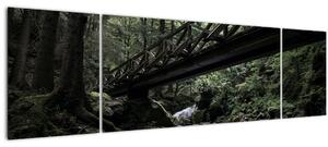 Obraz z černého lesa (170x50 cm)