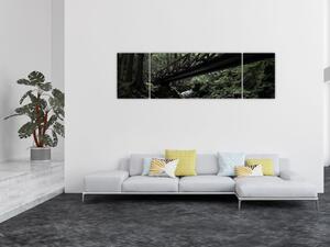Obraz z černého lesa (170x50 cm)