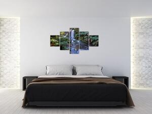 Obraz austraského deštného lesa (125x70 cm)