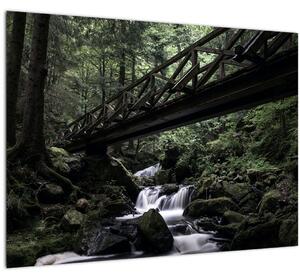 Obraz z černého lesa (70x50 cm)