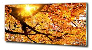 Foto-obraz fotografie na skle Koruna stromů podzim osh-89060594