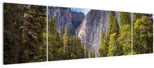 Obraz - Pod Yosemite skálou (170x50 cm)