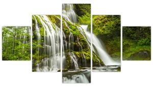 Obraz - Vodopád, Wind River Valley (125x70 cm)