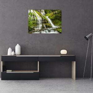 Obraz - Vodopád, Wind River Valley (70x50 cm)