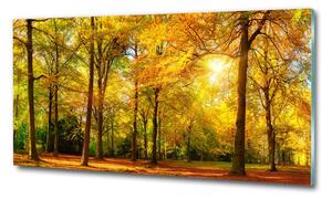 Foto obraz sklo tvrzené Podzimní les osh-89529230