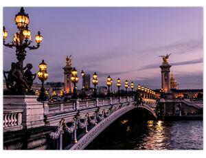 Obraz - Most Alexandra III. v Paříži (70x50 cm)