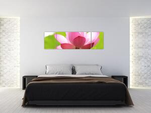 Obraz květu Lotusu (170x50 cm)