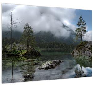 Obraz stromů v jezeře (70x50 cm)