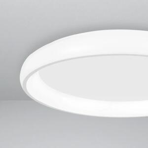 Stropní svítidlo LED se stmíváním Albi 60 bílé