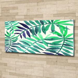Fotoobraz skleněný na stěnu do obýváku Tropické listí osh-89951798
