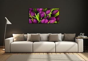 Fotoobraz na skle Fialové tulipány osh-89975331