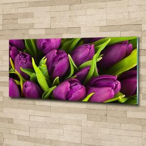 Fotoobraz na skle Fialové tulipány osh-89975331