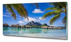 Foto obraz sklo tvrzené Palmy na Bora Bora osh-90274909