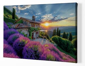 Obraz na plátně - Když levandule v Provence voní FeelHappy.cz Velikost obrazu: 210 x 140 cm