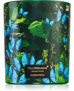 Vila Hermanos Jungletopia Blue Butterfly vonná svíčka 200 g