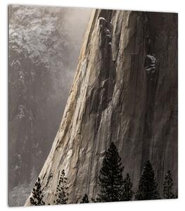Obraz z údolí Yosemite národní parku, USA (30x30 cm)