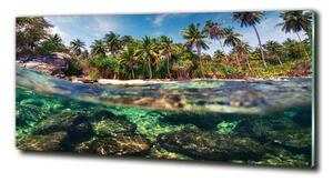 Fotoobraz na skle Tropická pláž osh-90407162
