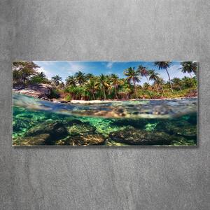 Fotoobraz na skle Tropická pláž osh-90407162