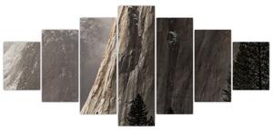 Obraz z údolí Yosemite národní parku, USA (210x100 cm)