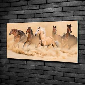 Foto obraz skleněný horizontální Koně poušť osh-90840320