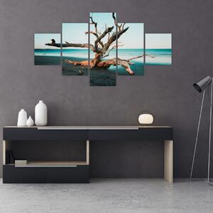 Obraz - Vyplaveno na pláži (125x70 cm)