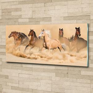 Foto obraz skleněný horizontální Koně poušť osh-90840320