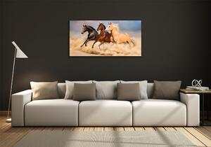 Fotoobraz na skle Koně ve cvalu osh-90824183