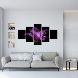 Obraz lilie (125x70 cm)