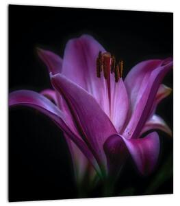 Obraz lilie (30x30 cm)
